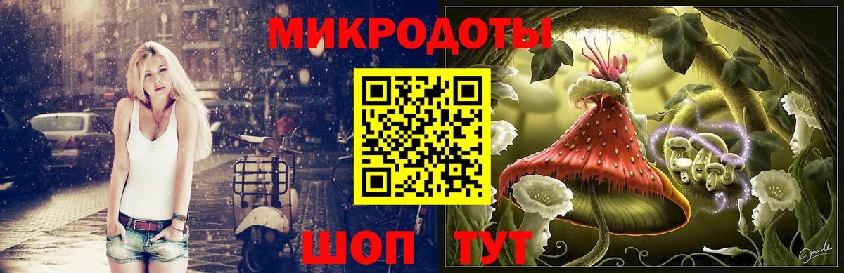 Ржев  что такое   Вход с VPN  Галлюциногенные грибы прущие грибы 